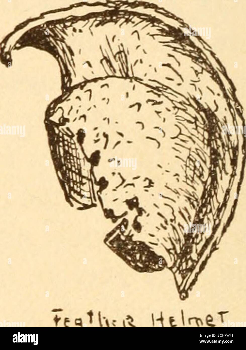 hair pieces honolulu