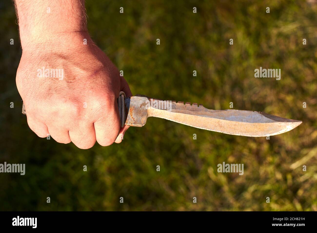 Sharp old notch knife in man's hand on grass background Stock Photo Alamy