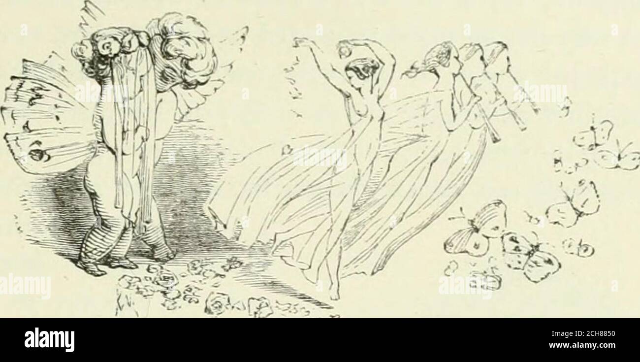 . Midsummer Eve : a fairy tale of loving and being loved . Drawn by Sir J. Noel Paton, R.S.A. Engraved by H. Linton. 11 IK IOKlKAir.. PART THE ELEVENTH. Stock Photo