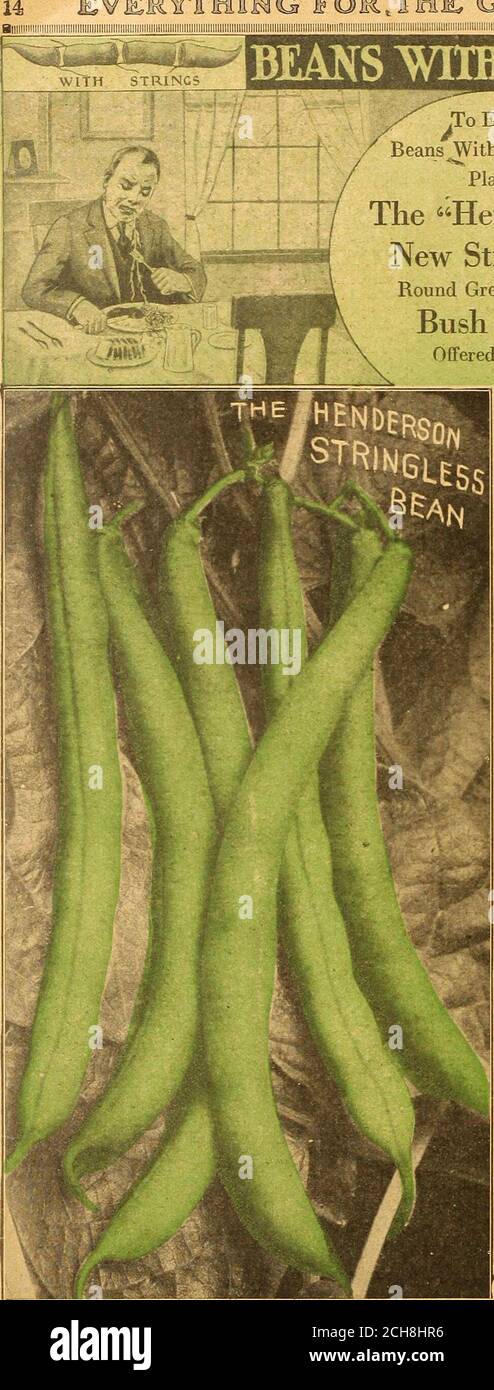 Bean strings hi-res stock photography and images - Alamy