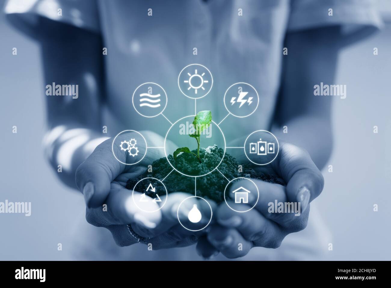 Clean energy and Natural energy resources. Woman hand holding sprout, with energy resource icon Stock Photo