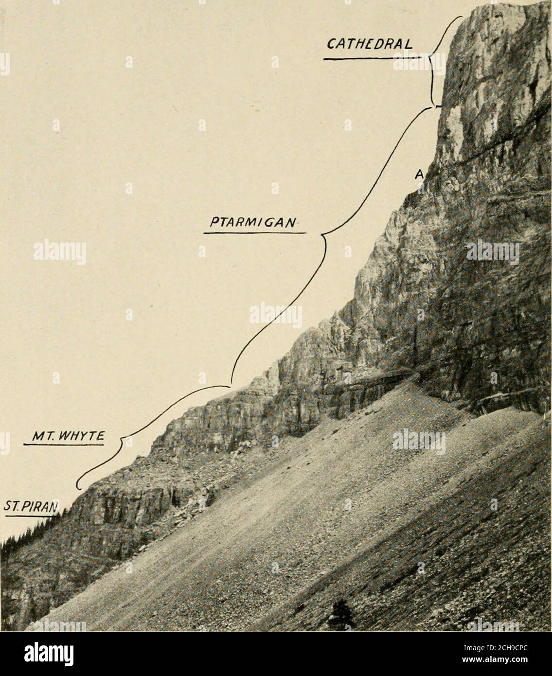 . Smithsonian miscellaneous collections . North profile of ridge above and southeast of Ross Lake, i mile (1.6 km.)south of Stephen Station on the Canadian Pacific Railway. The position of the Albertella zone is shown at A where the thin bandof shale forms a dark, narrow band that may be seen from the KickingHorse Pass. The relative positions of the Cathedral, Ptarmigan, Mount Whyte, andSt. Piran formations are indicated on the plate. This view should be studied in connection with plate 2. (Photograph byWalcott, 1916.) NO. 2 ALBERTELLA FAUNA IN BRITISH COLUMBIA AXD MONTANA 15 Hyolithes cecrops Stock Photo