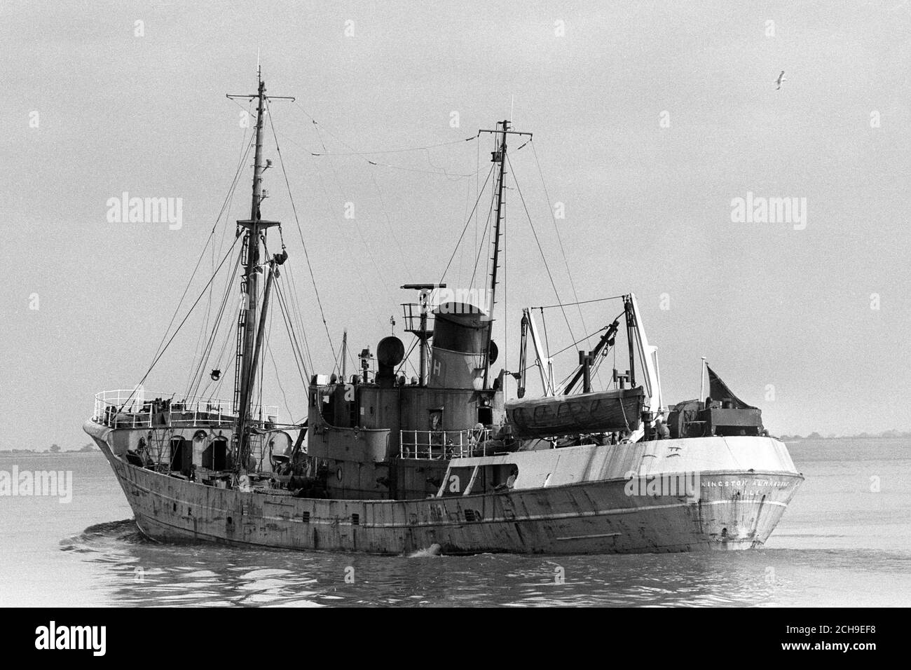 Hull trawler 'Kingston Almandine'. Stock Photo