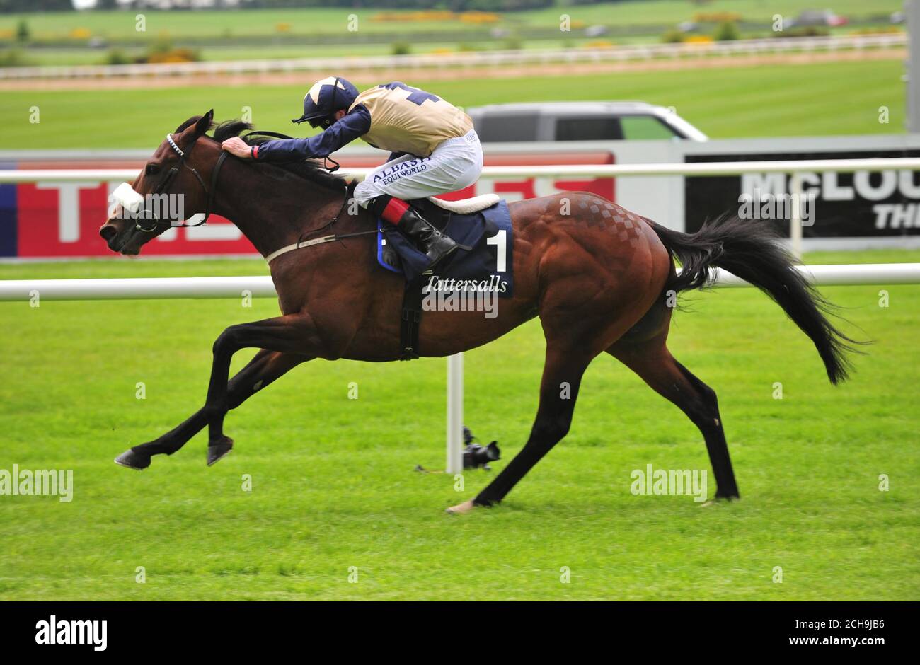Fascinating Rock ridden by Pat Smullen win the Tattersalls Gold Cup during day two of the Tattersalls Irish Guineas Festival at Curragh Racecourse. Stock Photo