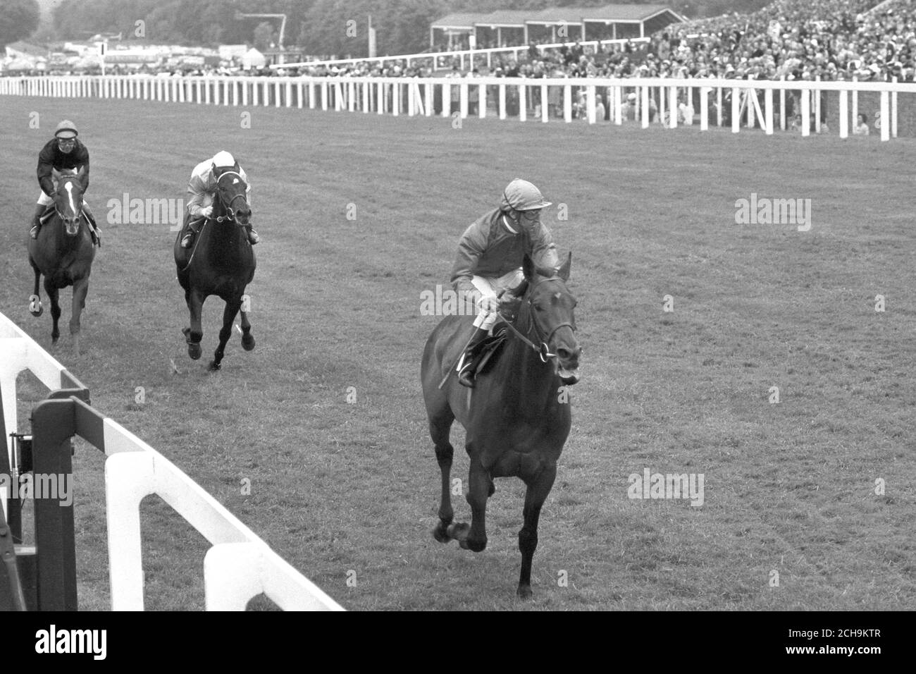Joe Mercer is seen riding Brigadier Gerard at Ascot to win the Prince of Wales Stakes. It brought the horse's unbroken sequence of wins to 13. In second place was Steel Pulse, ridden by E Eldin (centre), with Pembroke Castle, ridden by G Lewis, third. Stock Photo