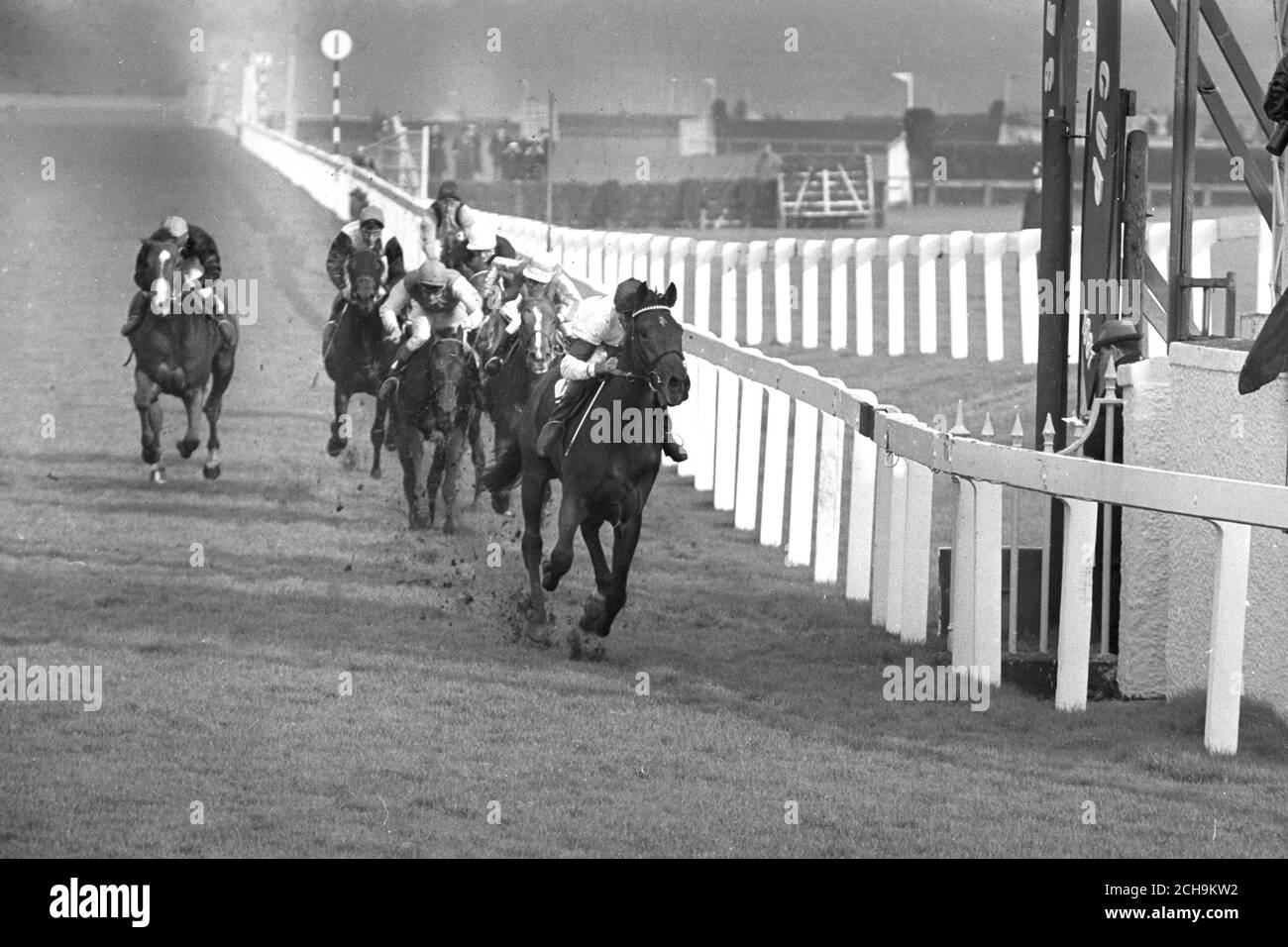 Vaguely Noble (W Williamson) is a clear-cut winner of the Observer Gold Cup at Doncaster, followed by Doon (J Sime) and Riboccare (J Lindley). Stock Photo