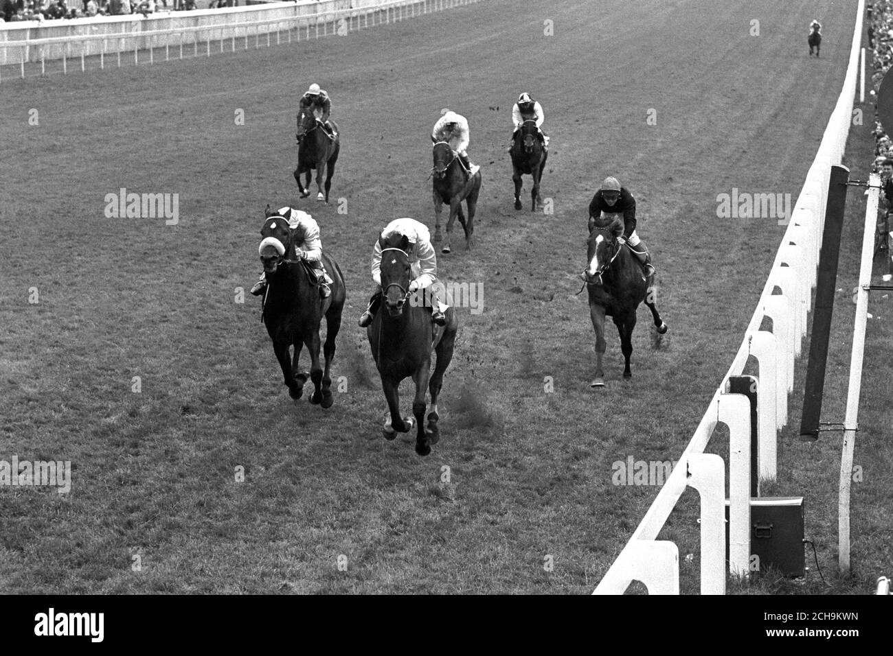 The Duke of Devonshire's Park Top (centre), ridden by Lester Piggott, winning the Coronation Cup at Epsom today, from AJ Struthers' Mount Athos (left), with R Hutchinson up. Finishing third is HJ Joel's Connaught (right), ridden by Sandy Barclay. Stock Photo