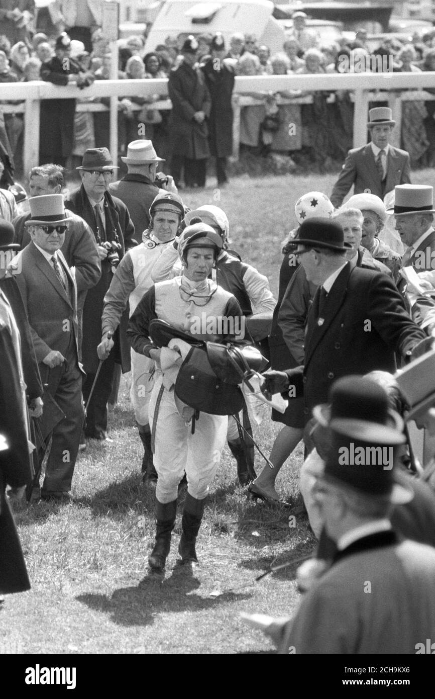 Lester Piggott walks towards the weighing room after his Derby victory on Roberto at Epsom. Still doubtful about the result after a photo finish battle with Rheingold, he had dismounted on the course instead of entering the winner's enclosure. A stewards' inquiry left the placings unaltered, and Piggott could celebrate his sixth Derby victory, equalling the all-time record. Stock Photo