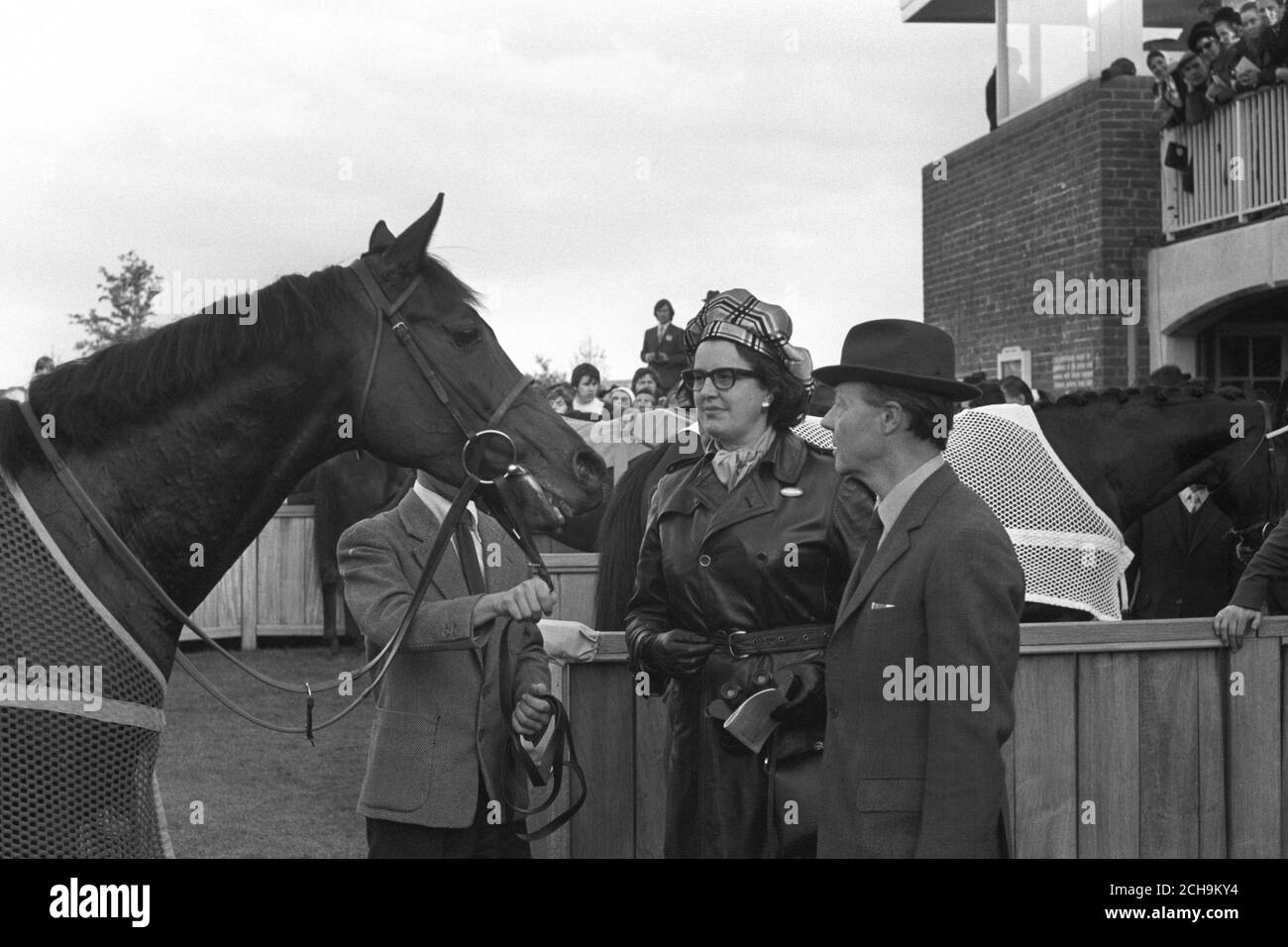 Brigadier Gerard with his joint owners, Mr and Mrs John Hislop, after winning the Champion Stakes at Newmarket today for the second year in succession. Ridden by Joe Mercer and running for the last time in his 18 race/17 wins career, he added £35,048.20 to his earnings by beating French challenger Riverman, with Lord David third. Stock Photo