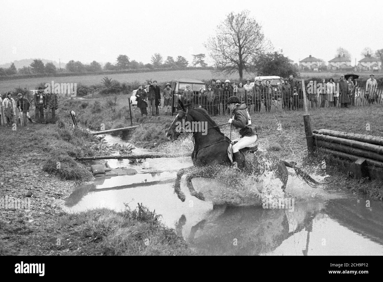 Princess Anne, riding the Queen's gelding Goodwill, jumps into the ...