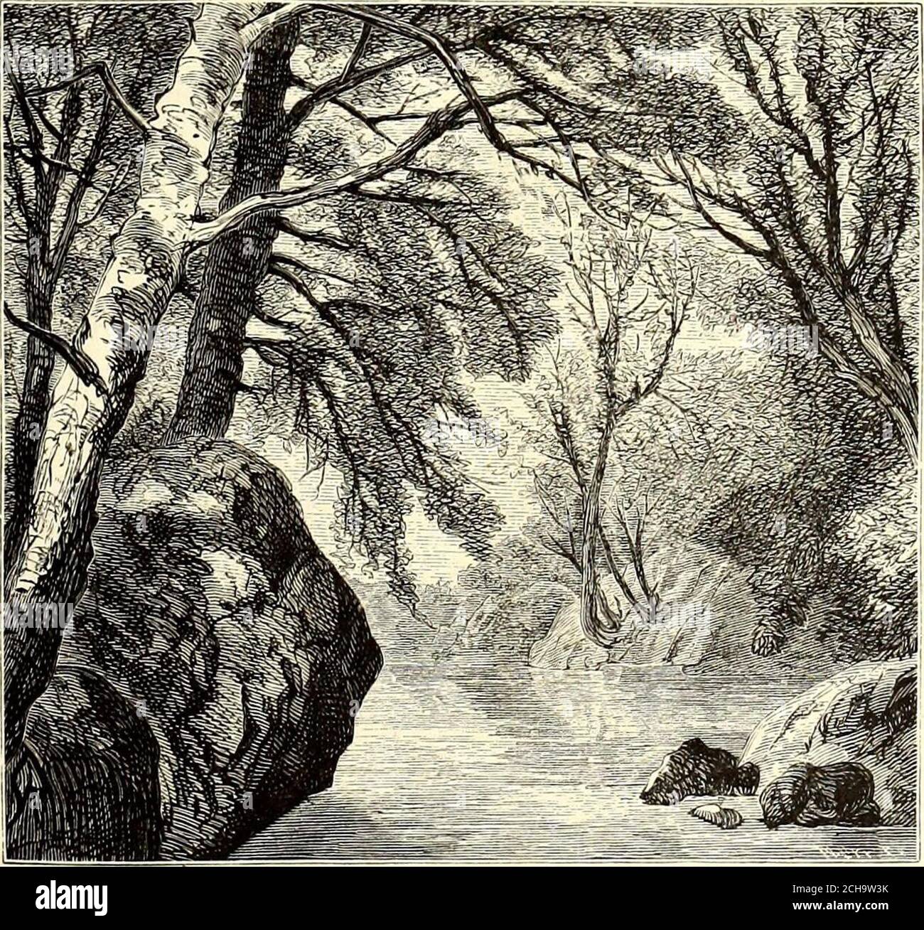 . Picturesque America; or, The land we live in. A delineation by pen and pencil of the mountains, rivers, lakes, forests, water-falls, shores, cañons, valleys, cities, and other picturesque features of our country . nches are soon piled high by their dexterous fingers. Until a late hour their laughterechoes over the quiet river, and the lonely night-hand, going to change his mill fardown the yard, is cheered by the gay songs borne to him along the water. Above the powder-yard stretch the same scenes of beauty. At Rockland are ex-tensive paper-mills, which, like all other factories on the Brand Stock Photo