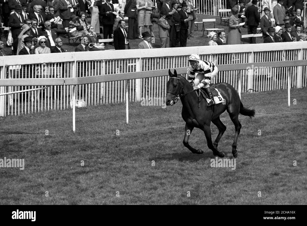 G.A. Oldham's Stintino, jockey is A. Barclay, an entry for the KingGeorge Vi and Queen Elizabeth Stakes at Ascot. Stock Photo