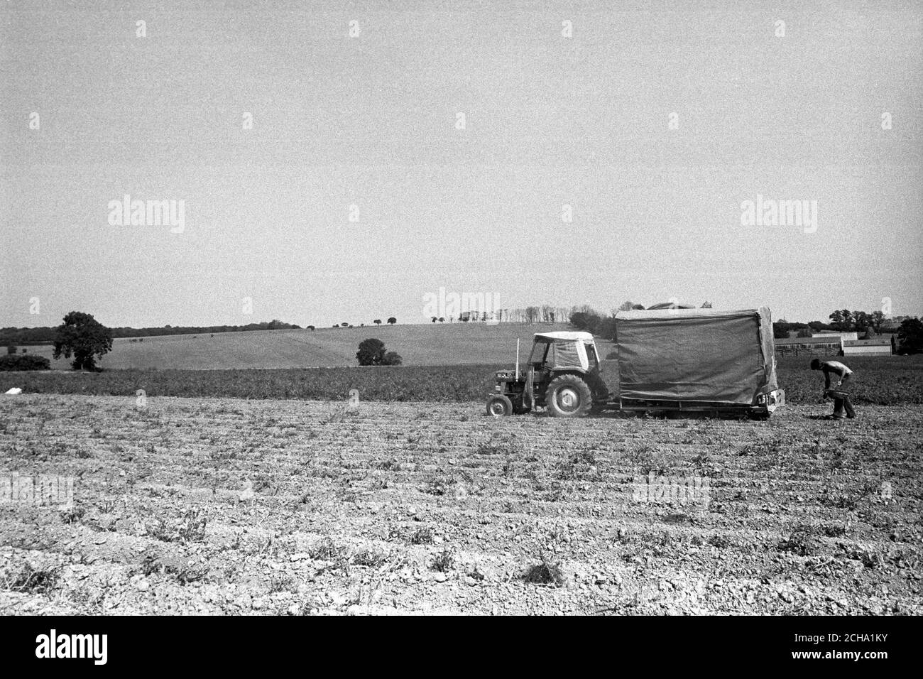 A farmer tends to his drought-hit farmland at Broad Oak in Kent. Stock Photo