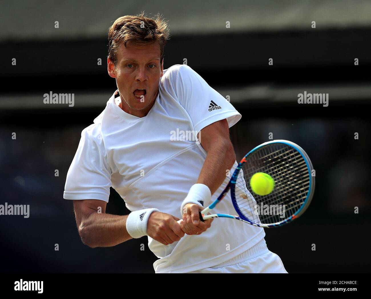 tomas berdych adidas