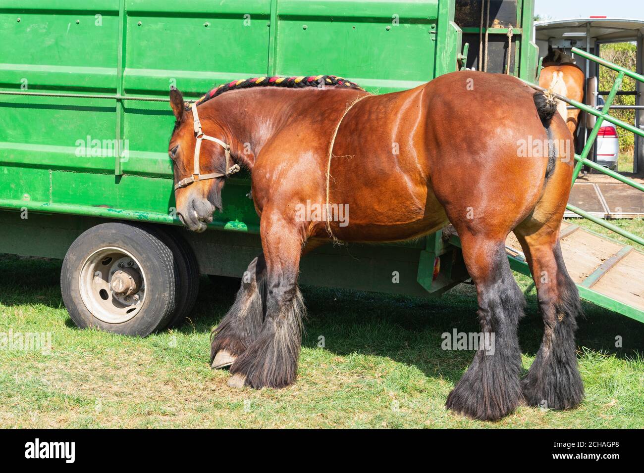 Rubbing her head hires stock photography and images Alamy