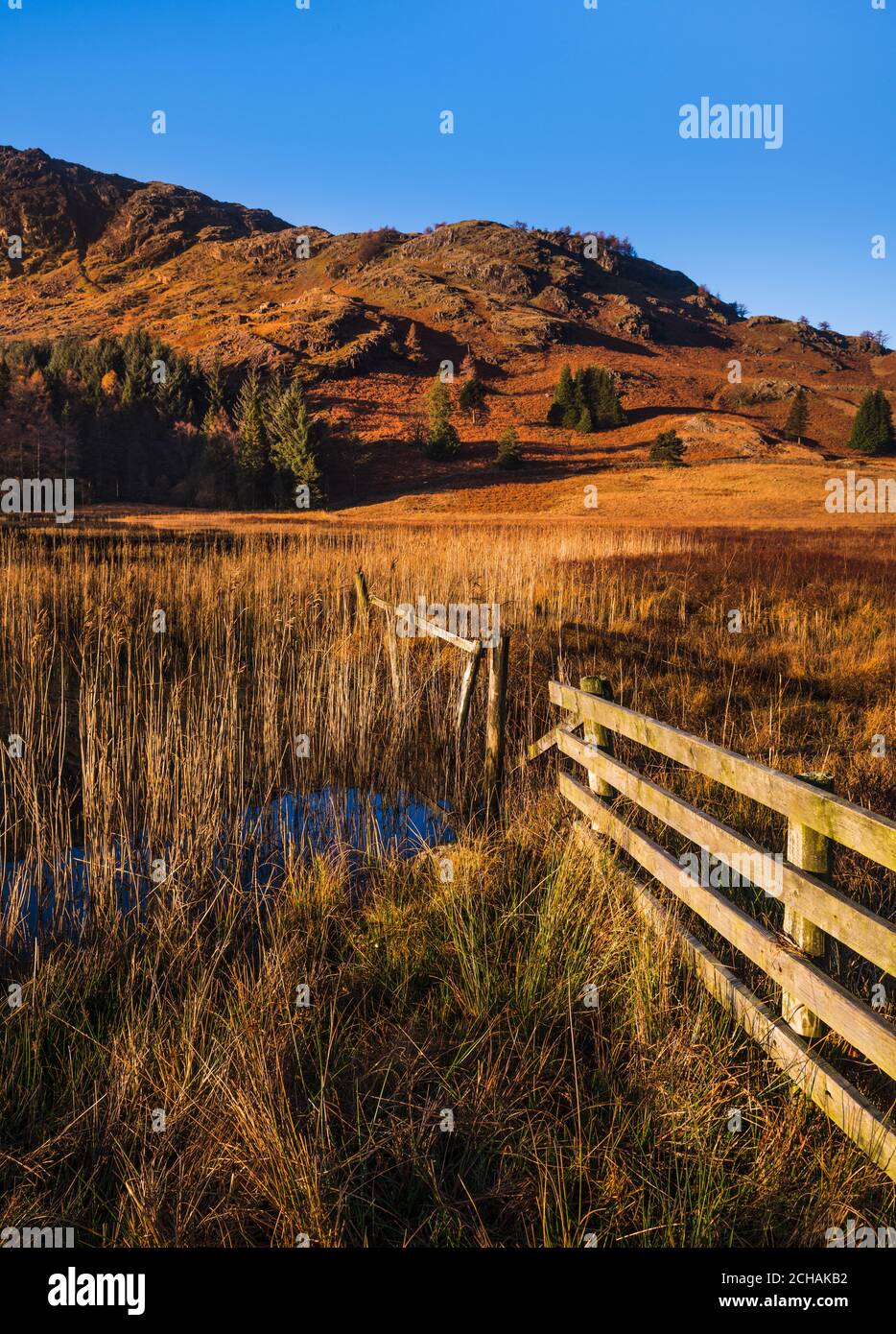 Cold winter sunrise looking across the valley & the marsh land with ...
