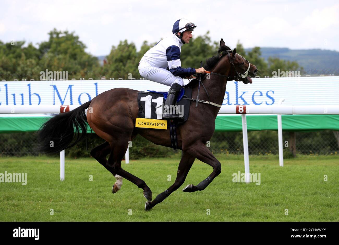 Jockey John F Egan goes to post on Rapacity Alexander before the Victoria Racing Club Molecomb Stakes Stock Photo