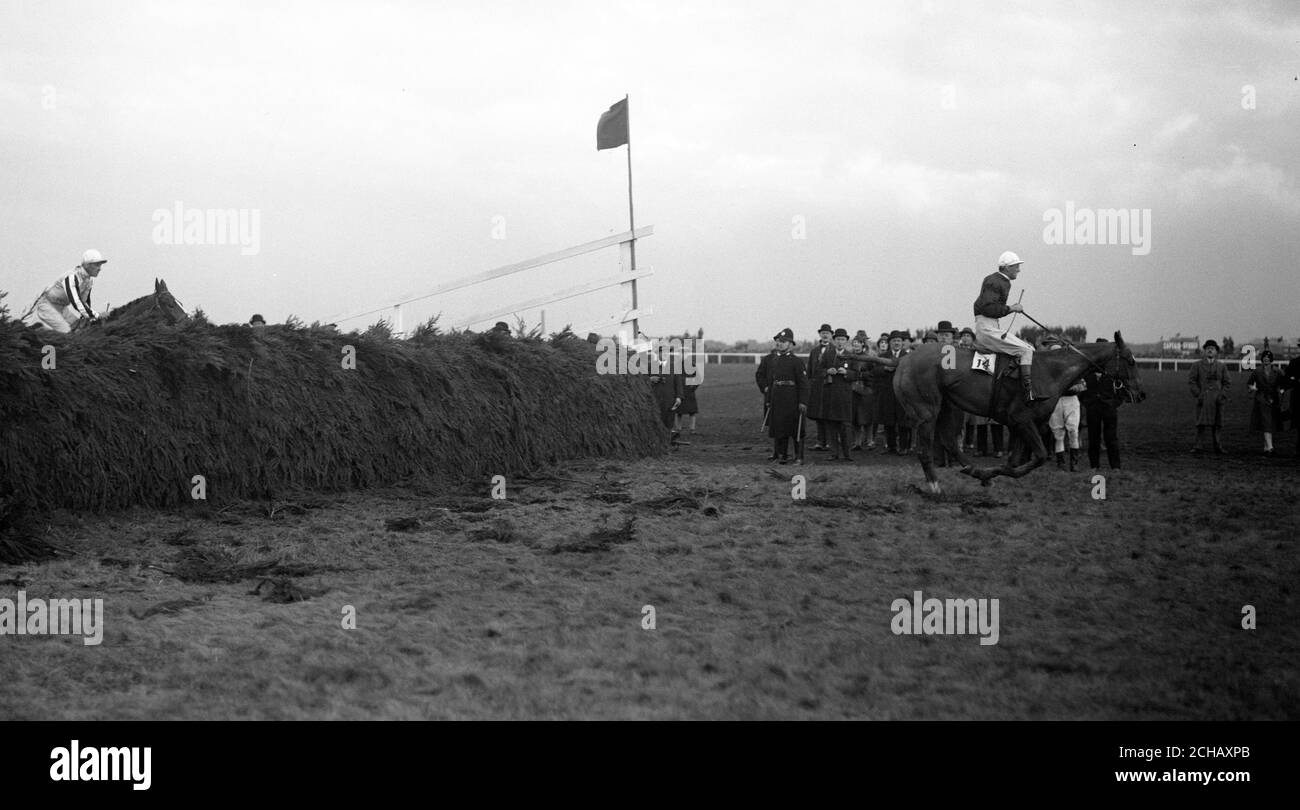 The winner, Gregalach, leading at the last fence before reaching the winning post. Stock Photo