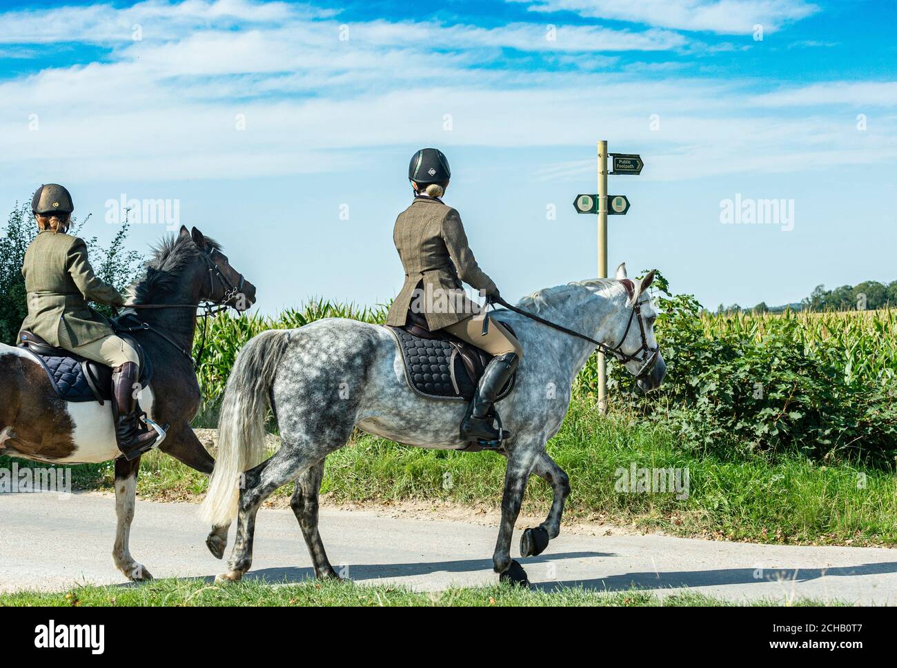 Horse riders on a public bridleway on a summer’s afternoon Stock Photo