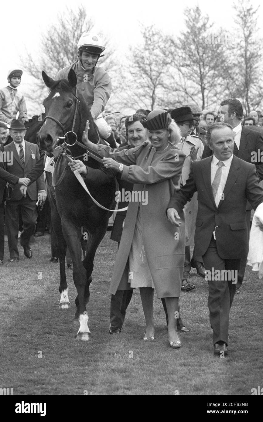 Owner's wife Susan Sangster leads in the 15-8 winner of the General Accident 2,000 Guineas Stakes at Newmarket, El Gran Senor, trained by Vincent O'Brien and ridden by Pat Eddery. Stock Photo