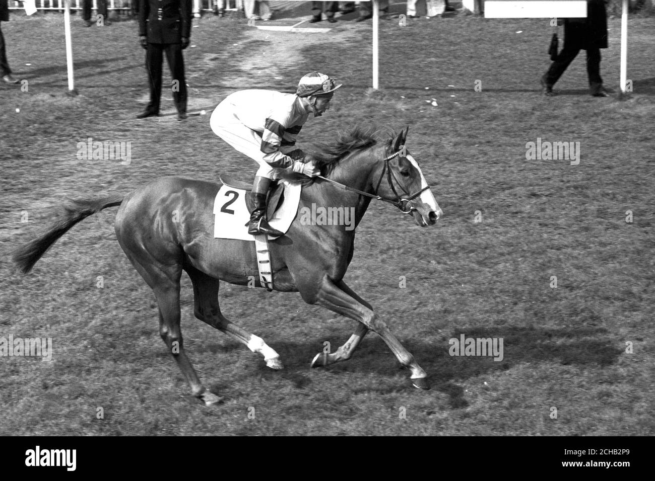 Mrs A Manning's three-year-old Be My Guest (USA), here with Lester Piggott in the saddle. The colt is trained in Ireland by Vincent O'Brien. Stock Photo