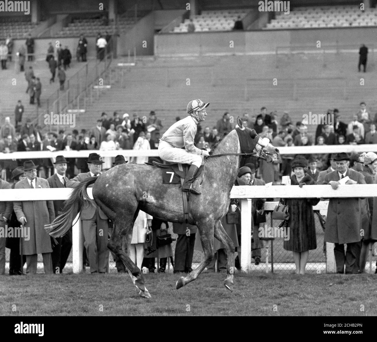 70年代 イギリスの競走馬 雑誌「The British Racehorse」 本