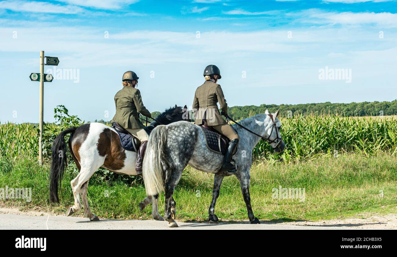 Horse riders on a public bridleway on a summer’s afternoon Stock Photo