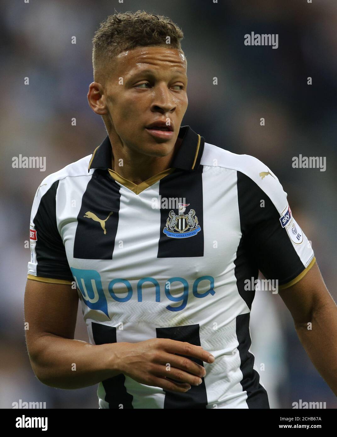 Newcastle United's Dwight Gayle Stock Photo Alamy