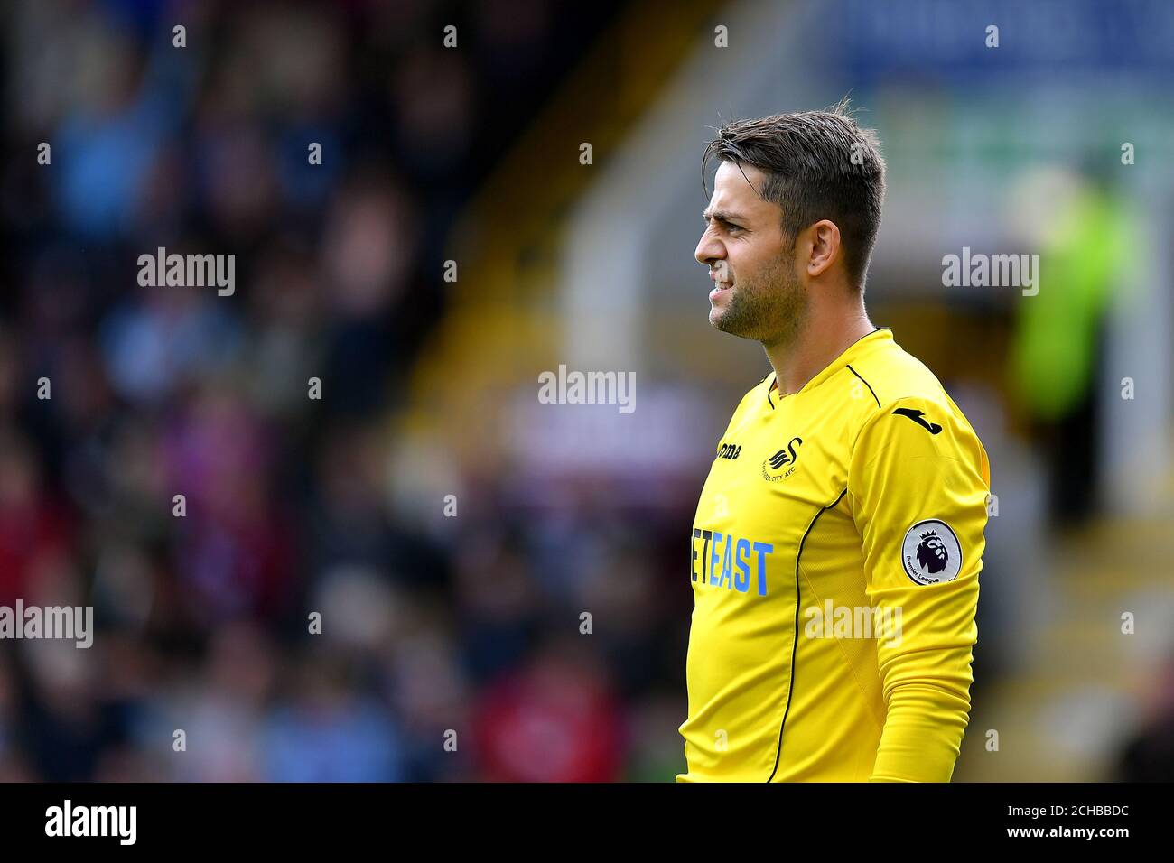 Swansea City goalkeeper Lukasz Fabianski Stock Photo - Alamy