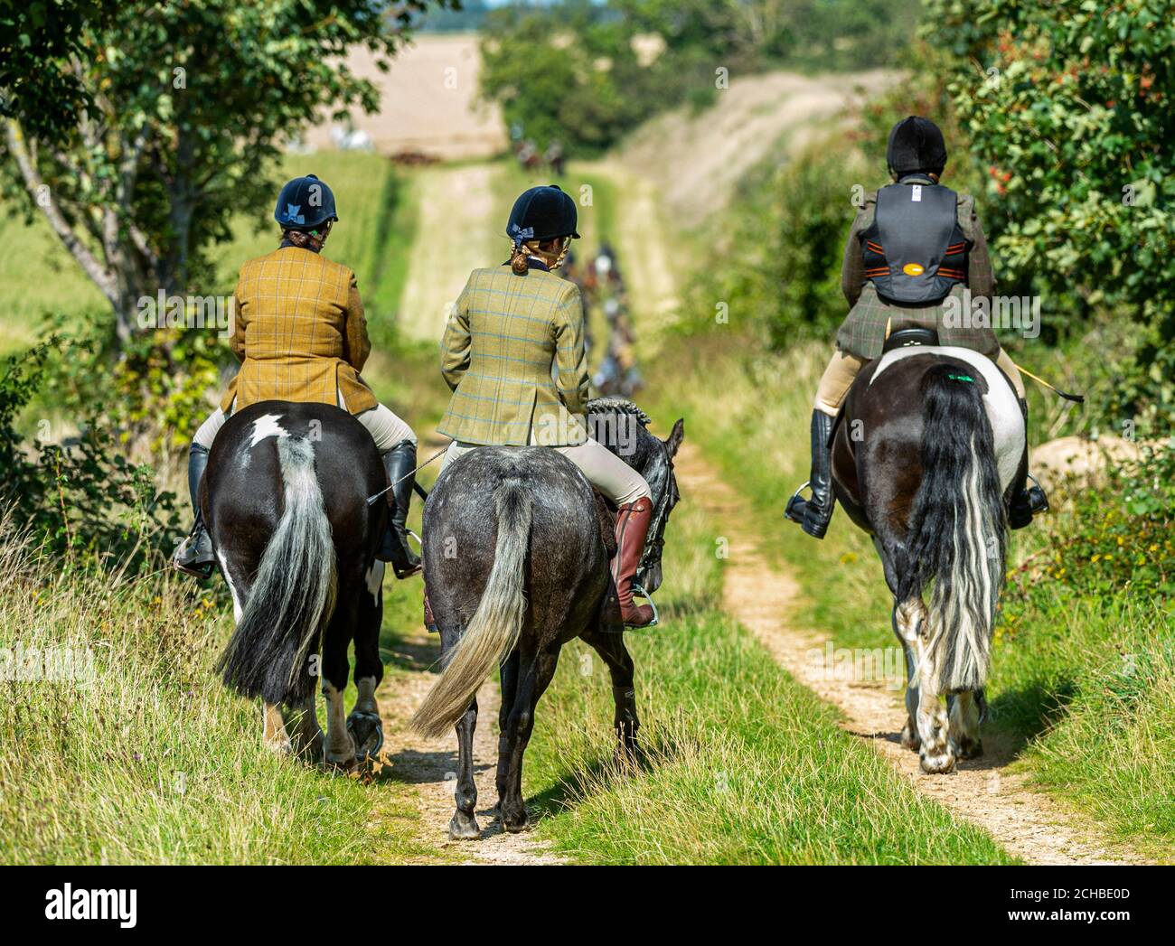 Horse riders on a public bridleway on a summer’s afternoon Stock Photo