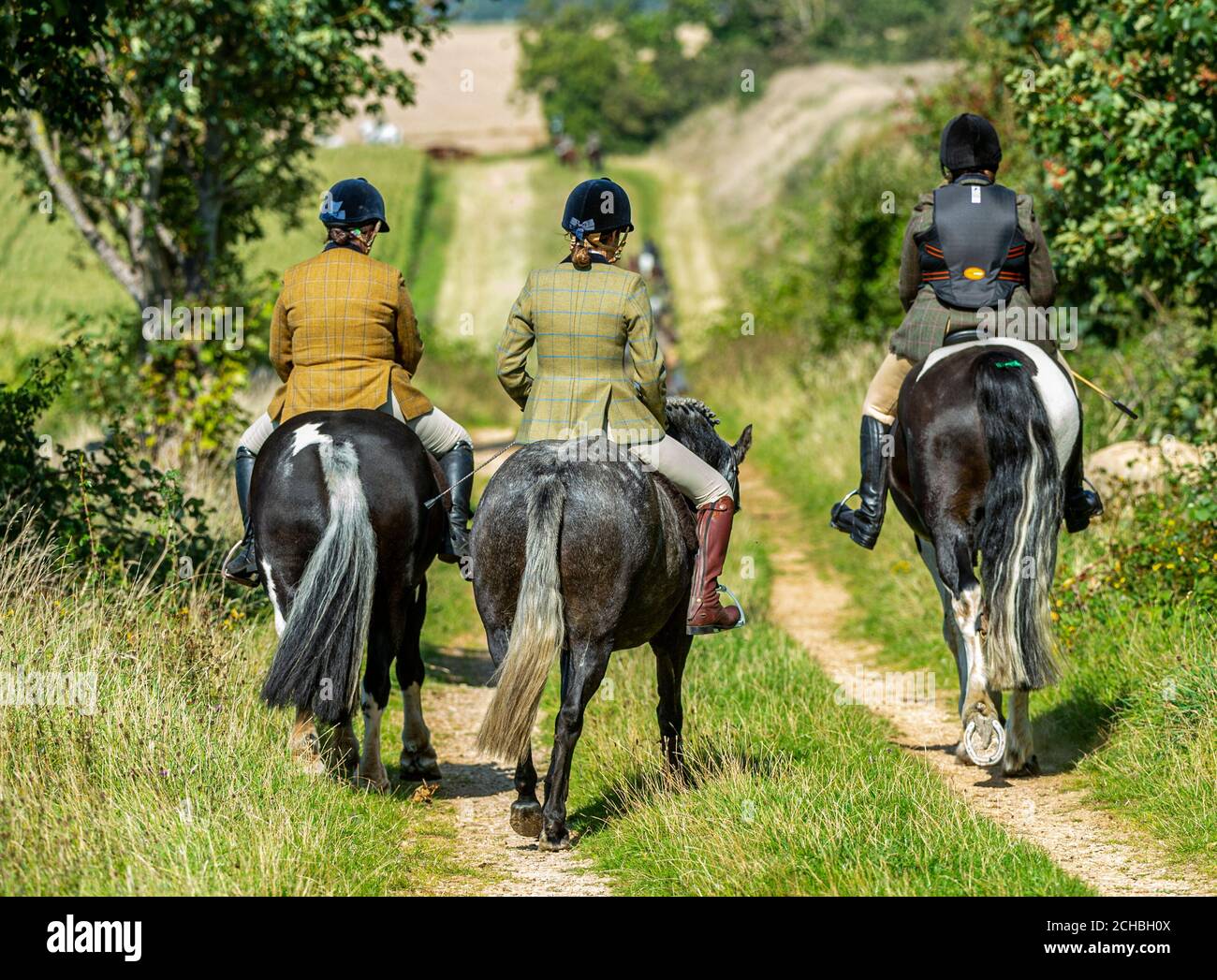 Horse riders on a public bridleway on a summer’s afternoon Stock Photo