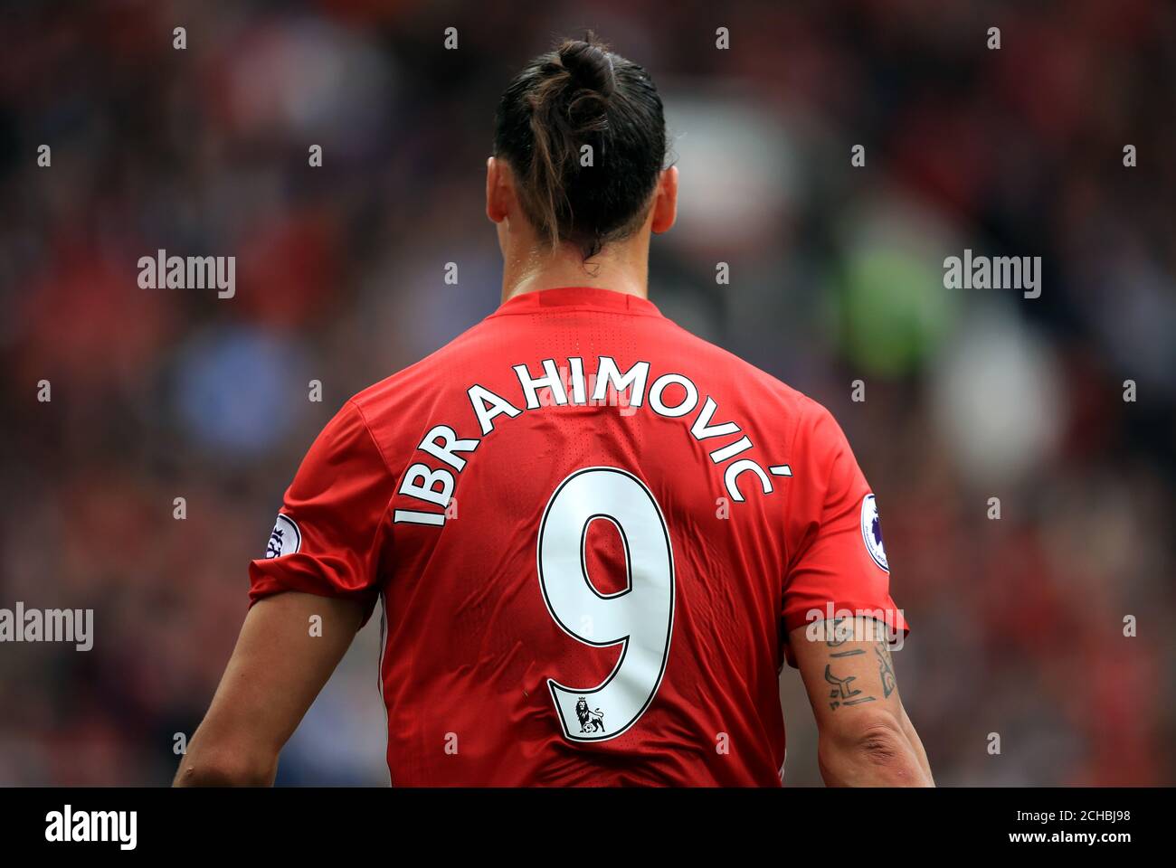 Zlatan jersey best sale number