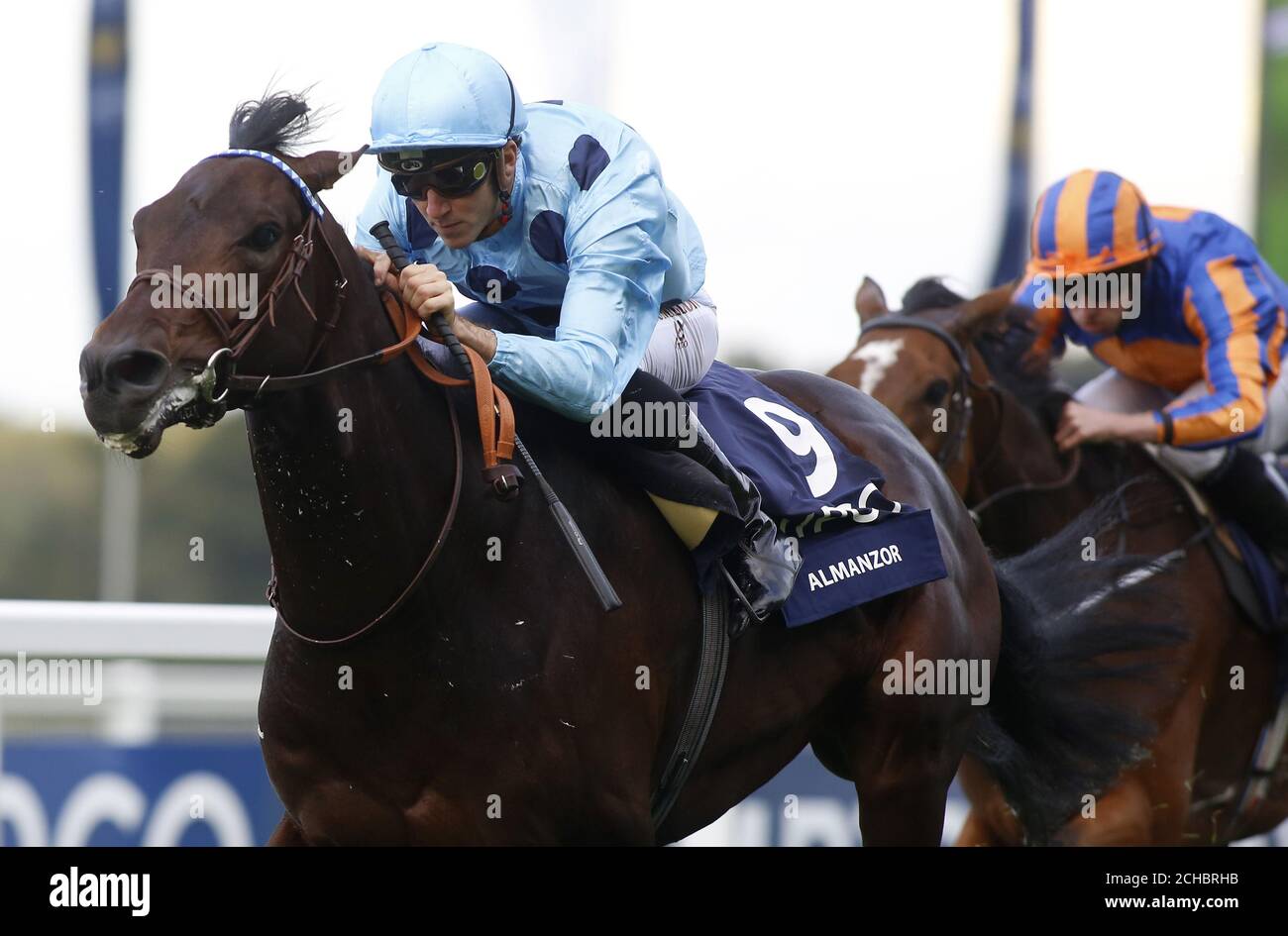 angre Konflikt Om indstilling Almanzor ridden by Cristophe Soumilon leads the field home to win The QIPCO Champion  Stakes Race run during the QIPCO British Champions Day at Ascot Racecourse  Stock Photo - Alamy