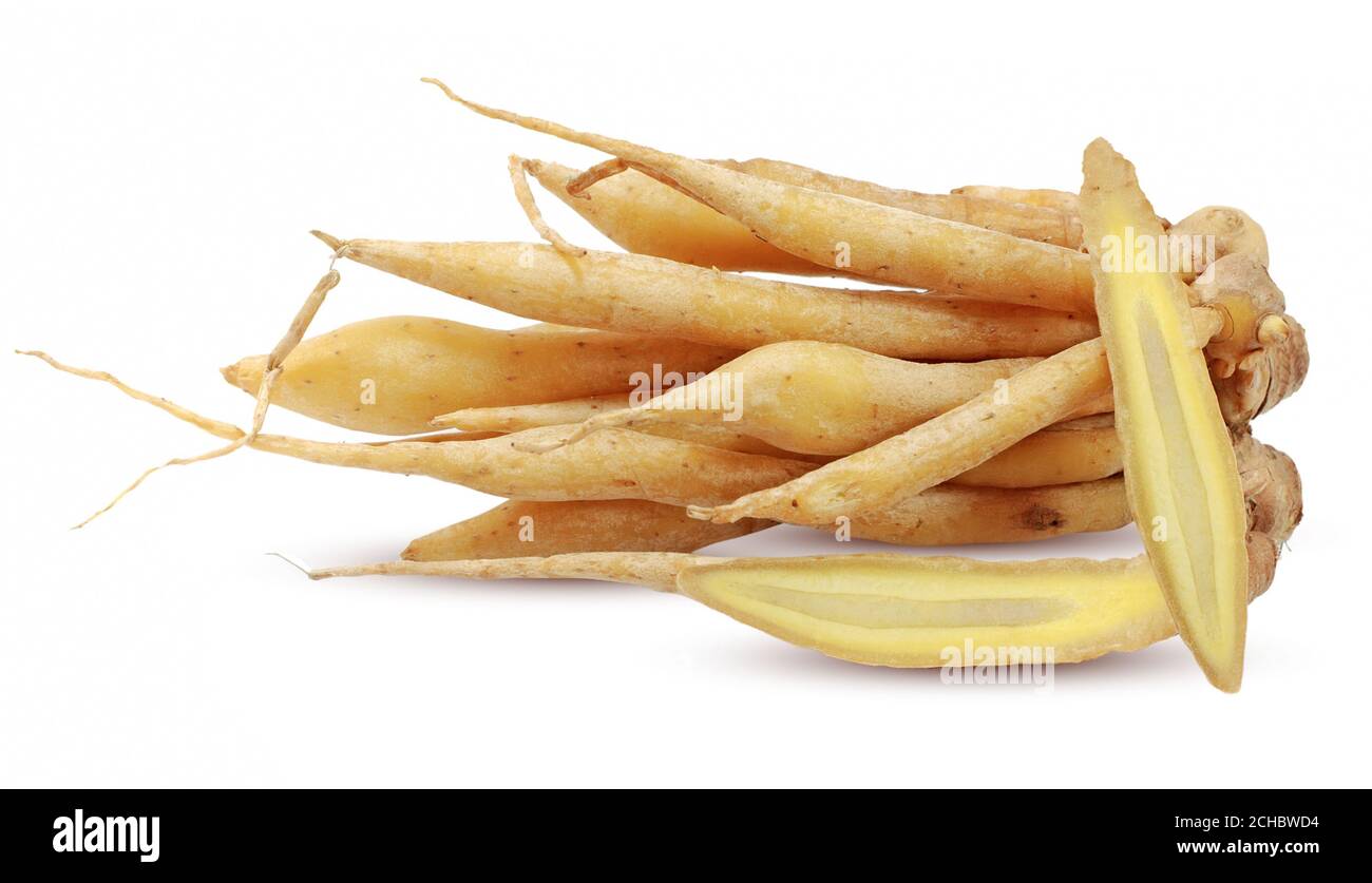 Panax ginseng. Старый ствол дерева. Женьшень panax. Эстетическая корень. Корни дерева.