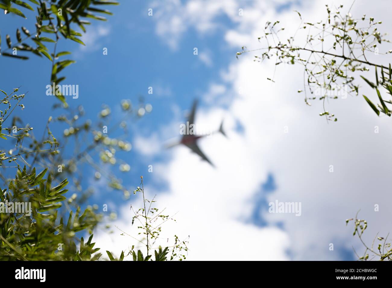 Plane in background Stock Photo