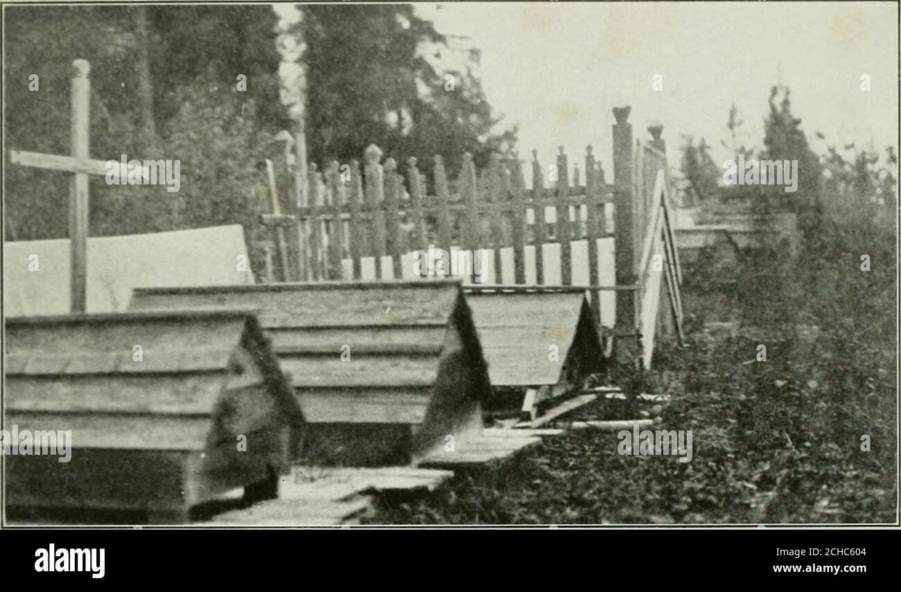 On The Headwaters Of Peace River A Narrative Of A Thousand Mile Canoe Trip To A Little Known Range Of The Canadian Rockies Ow Had Set Out A Profusesupply Of Dried