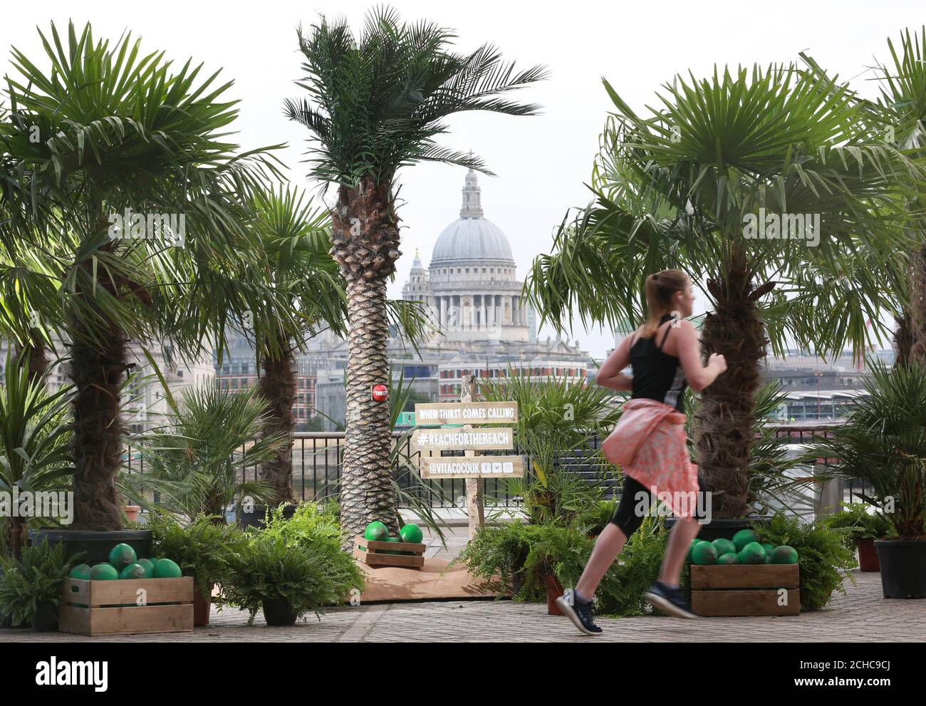 EDITORIAL USE ONLY A runner passes by a pop-up palm tree forest on London's Southbank created by Vita Coco as a tropical retreat for commuters in the midst of this weeks dreary weather. Stock Photo