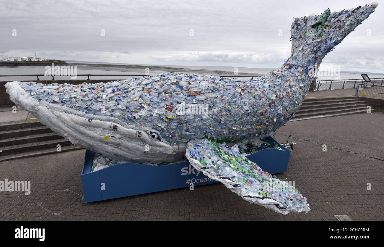 A 10-metre long whale in Cardiff Bay, Wales, which is made entirely ...