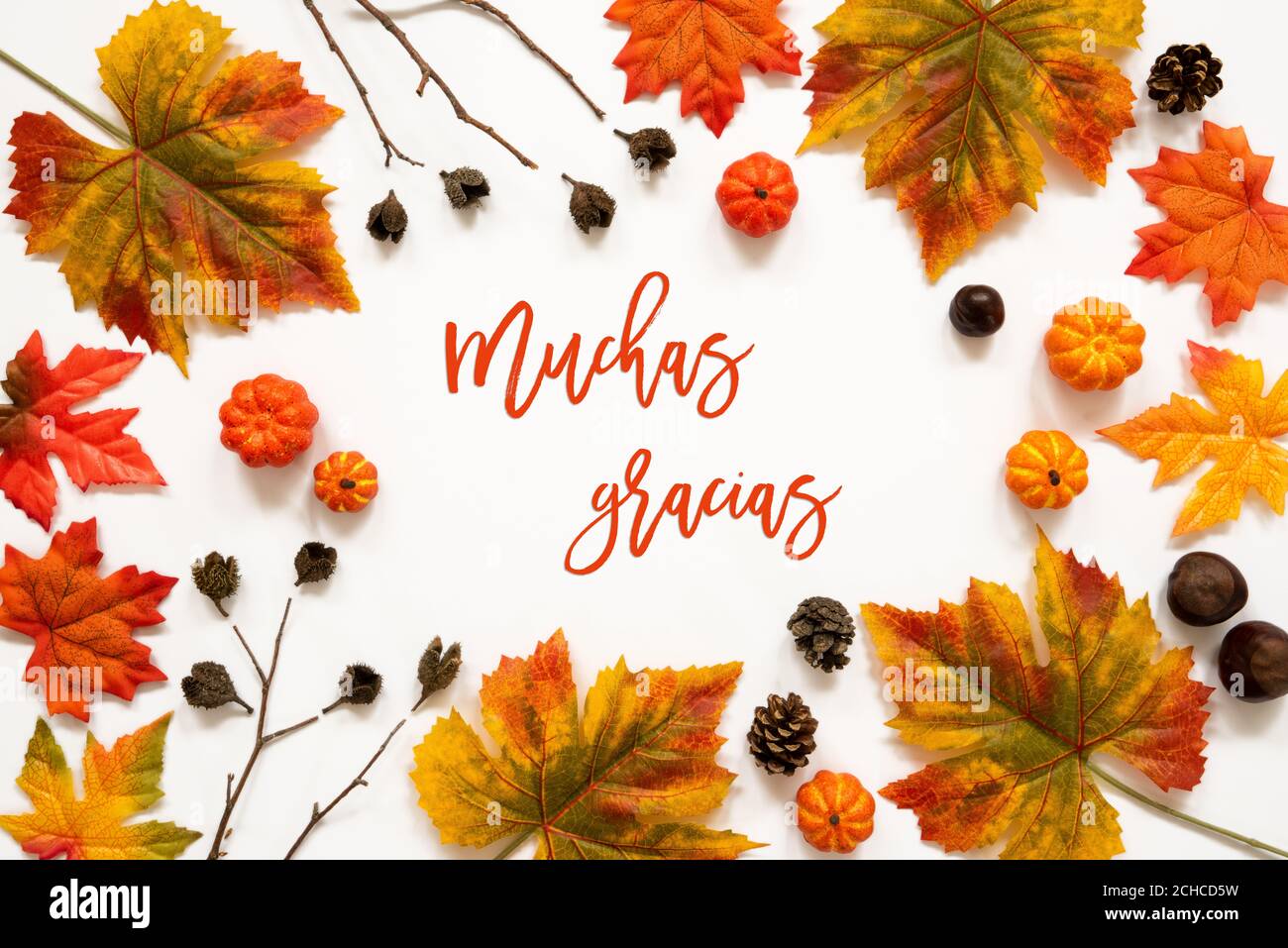 Muchas gracias hires stock photography and images Alamy