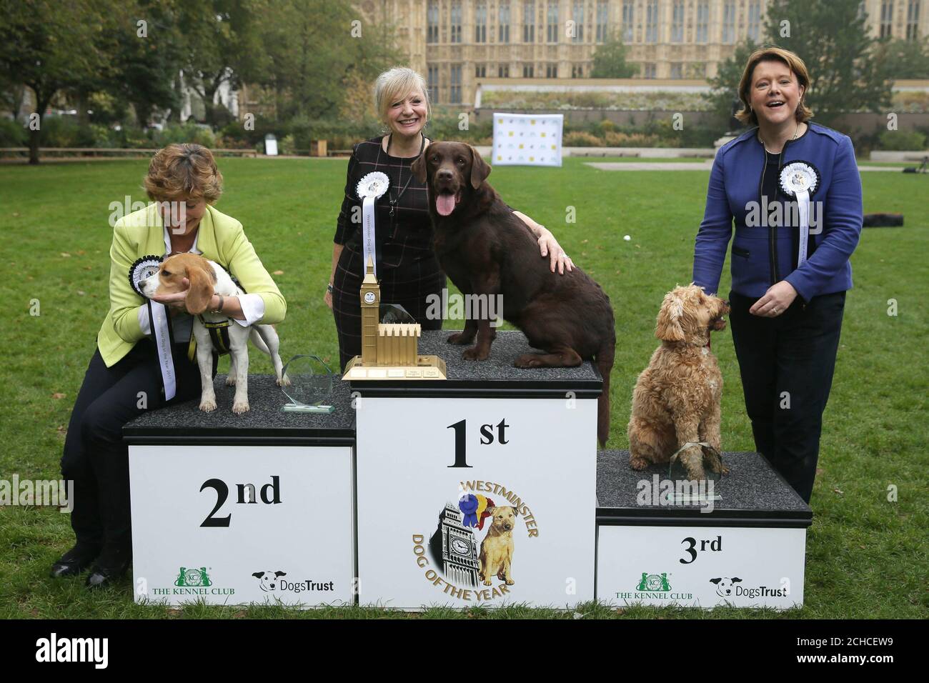 Tracy Brabin, MP for Batley and Spen with Labrador Rocky (centre) is announced as winner of the 25th Westminster Dog of the Year competition, with second placed Rebecca Pow with Dogs Trust rescue dog Beagle Bonnie (left), and third place Maria Miller with Cocker Spaniel/Poodle cross Ted at the end of the competition organised jointly by Dogs Trust and The Kennel Club, London. PRESS ASSOCIATION. Picture date: Thursday October 26th, 2017. The competition is open to all canines belonging to MPs and Lords and celebrates the special relationship between human and dog. Ten canines took part from Stock Photo