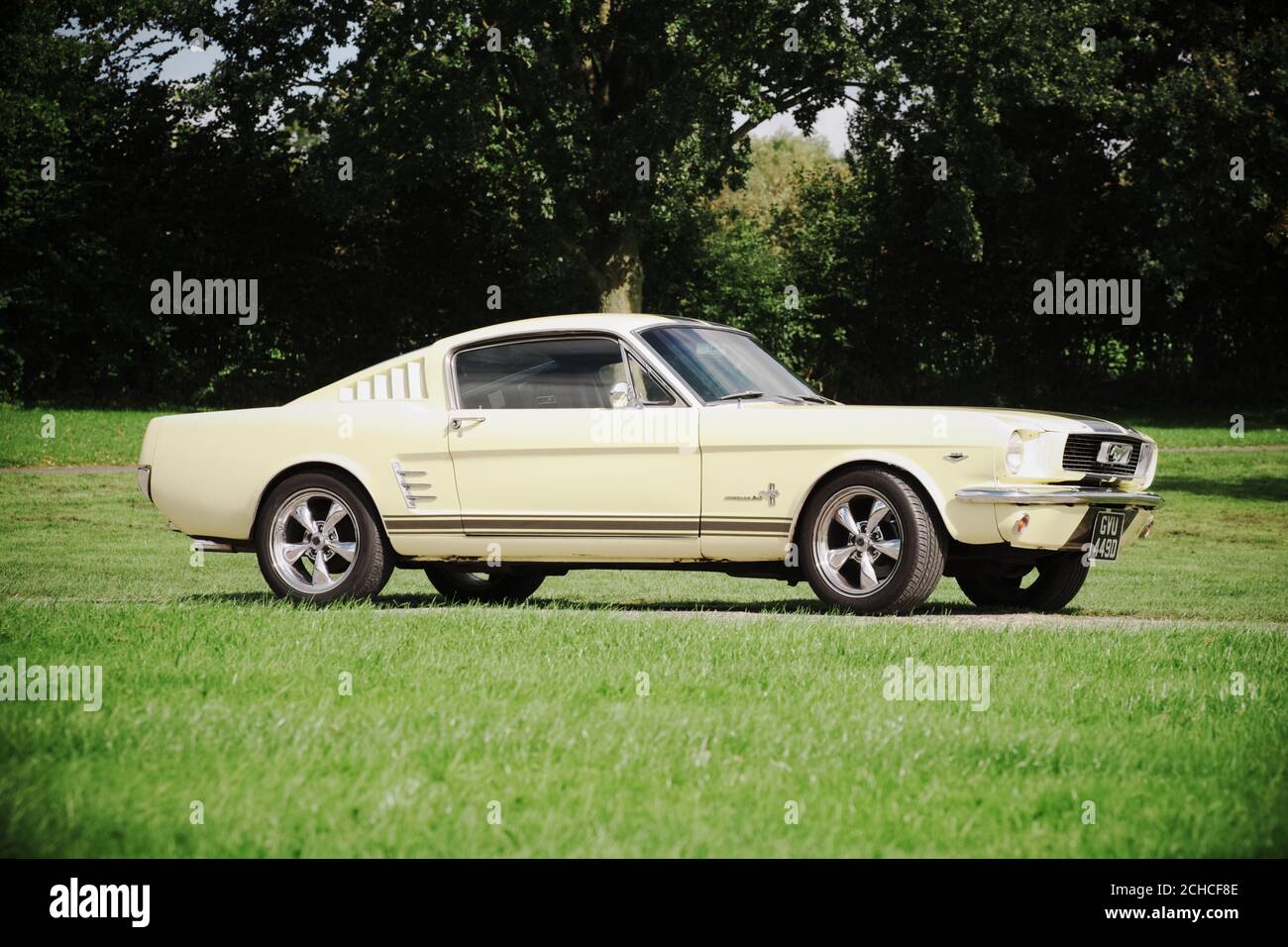 Ford Mustang 1966 classic car Fastback version Stock Photo