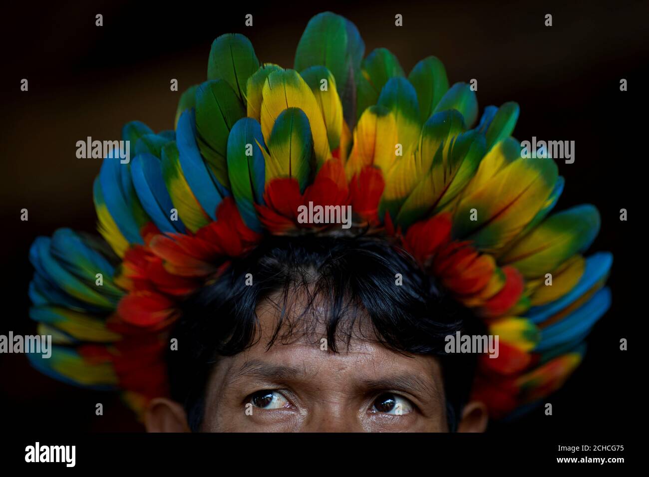 Uru eu wau wau hires stock photography and images Alamy