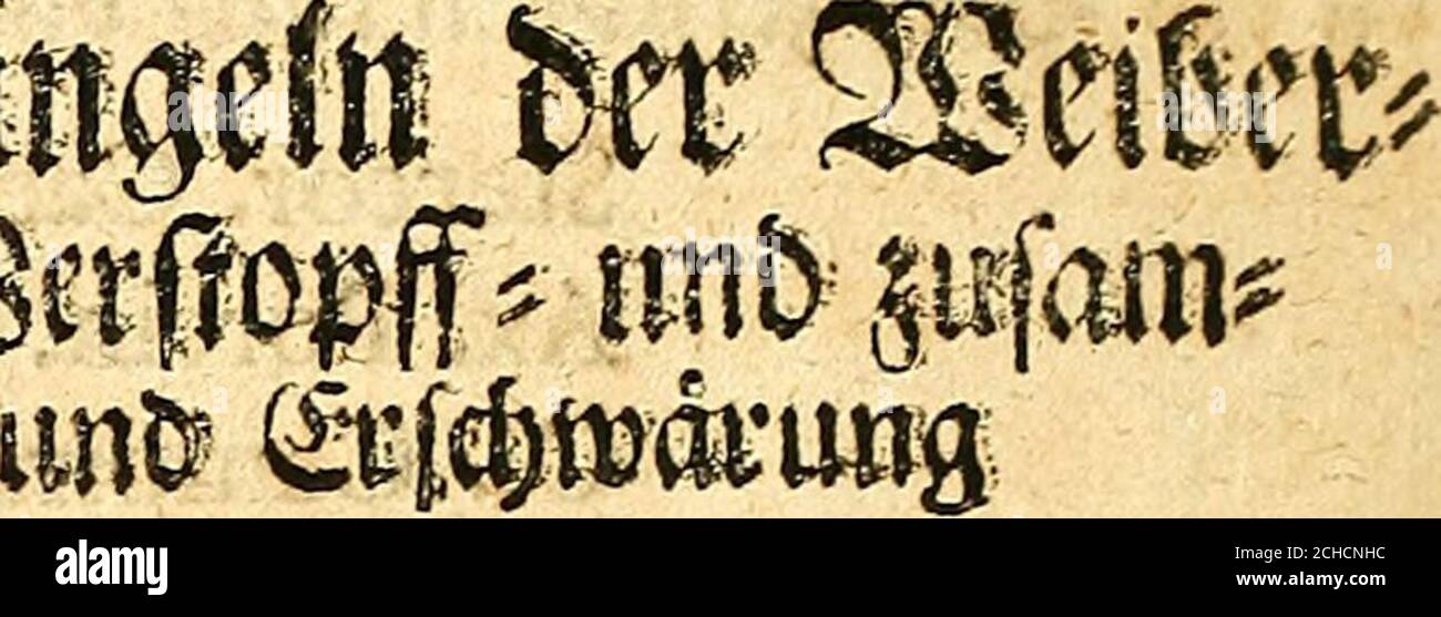 . Matthaei Gothofredi Purmanni ... Grosser und gantz neu-gewundener Lorbeer-Krantz, oder Wünd-Artzney : in III Theil und 127 Capittel abgetheilet, darinne ein jedweder Chirurgus aufs beste und Grundrichtigste sehen kan, was bey allen Wunden und Verletzungen des gantzen menschlichen Leibes, auch Schäden, Fisteln, Geschwülsten, Geschwären, Beinbrüchen, Verrenckungen, etc., ja alle und jede, neueste und rareste Dinge, so in kürtzlich, doch ausführlich, mit beschrieben worden durch und durch mit kurtz gefassten Erfindungen, verständigen neuen und richtigen Ursachen, deutlichen Kennzeichen, raren A Stock Photo