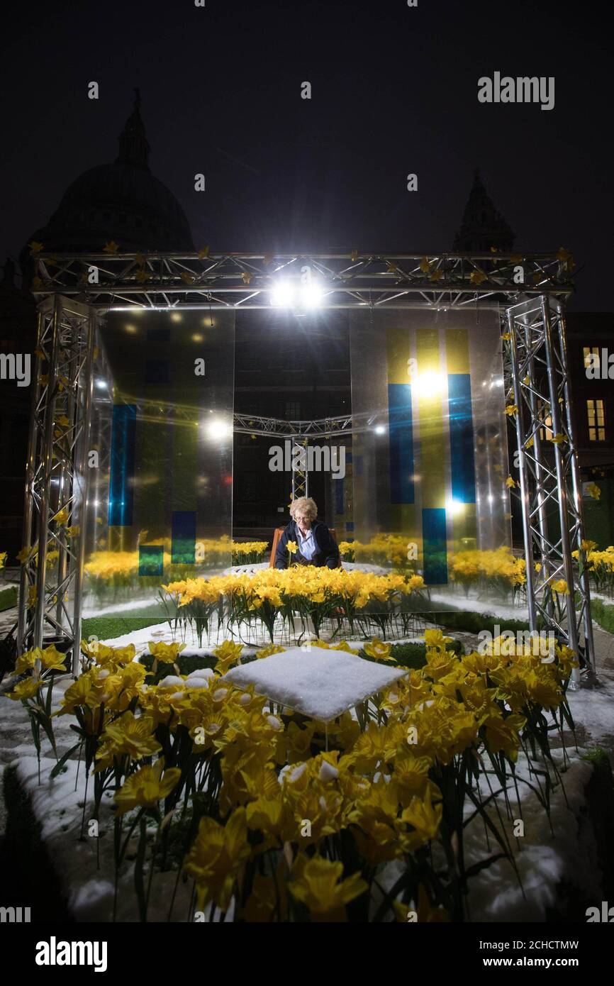 Mary Reilly, a Marie Curie Nurse in the 'Garden of Light', which is 4000illuminated daffodils created by Marie Curie to launch their Great Daffodil Appeal, in Paternoster Square, London. PRESS ASSOCIATION. Picture date: Thursday March 1, 2018. Each daffodil represents someone who is affected by terminal illness that Marie Curie will support this month. Bespoke daffodil designs have been created by Stephen Fry, Louise Redknapp, Alesha Dixon and others and can be viewed by members of the public until March 11th. Photo credit should read: David Parry/PA Wire Stock Photo