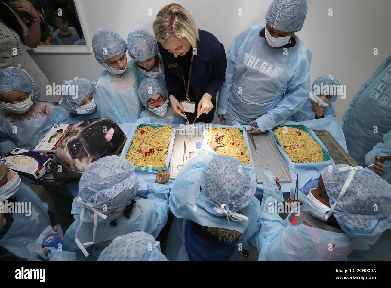 pretend animal hospital