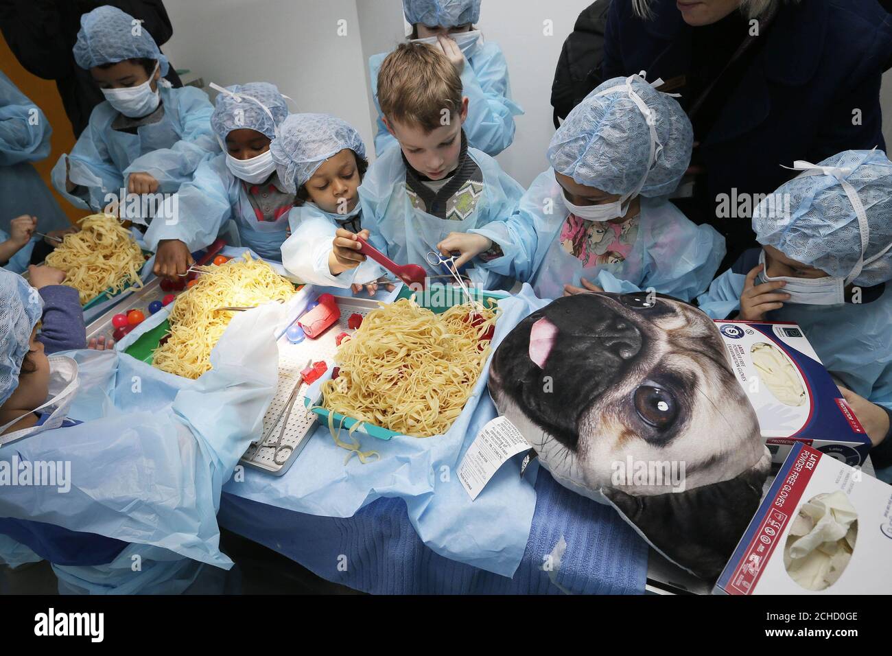 pretend animal hospital