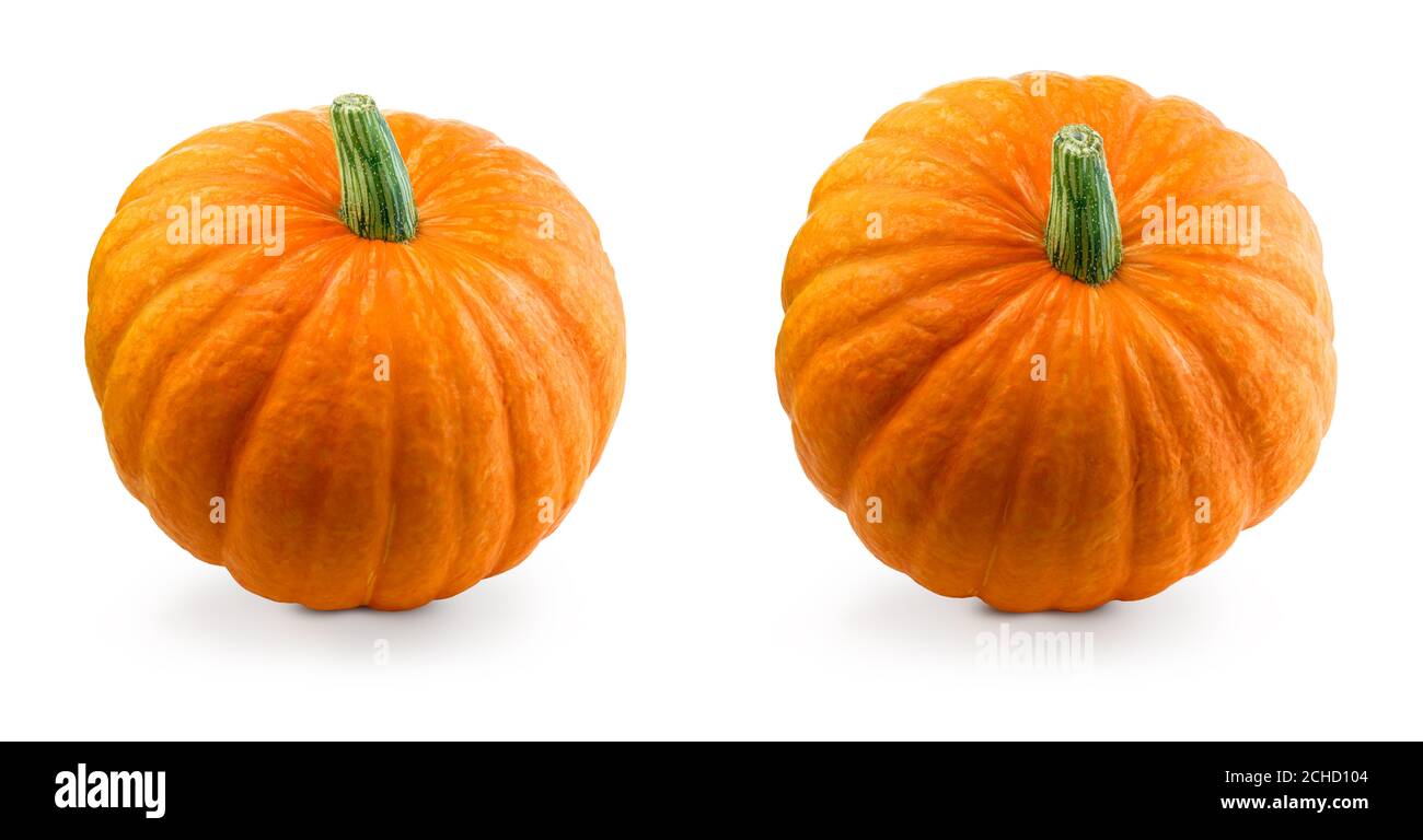Two fresh pumpkins isolated Stock Photo