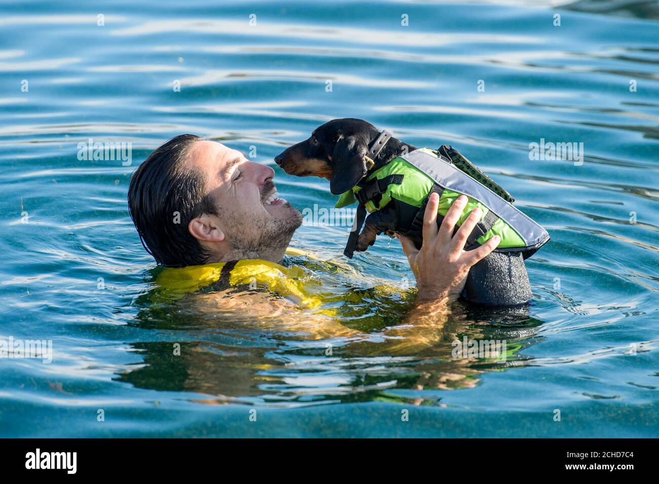 EDITORIAL USE ONLY Canine Aqua Specialist Julien Mazurek and Bob, a  Dachshund, participate in the UK's first ever doggy Swimming gala to launch  online dog walking and sitting platform Rover.com at West