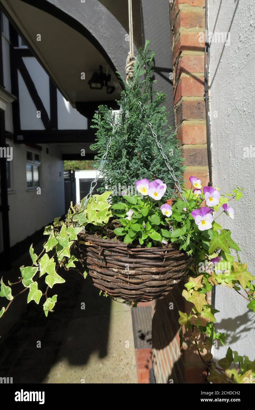Flower basket hanging outside house in North-West London England Stock Photo