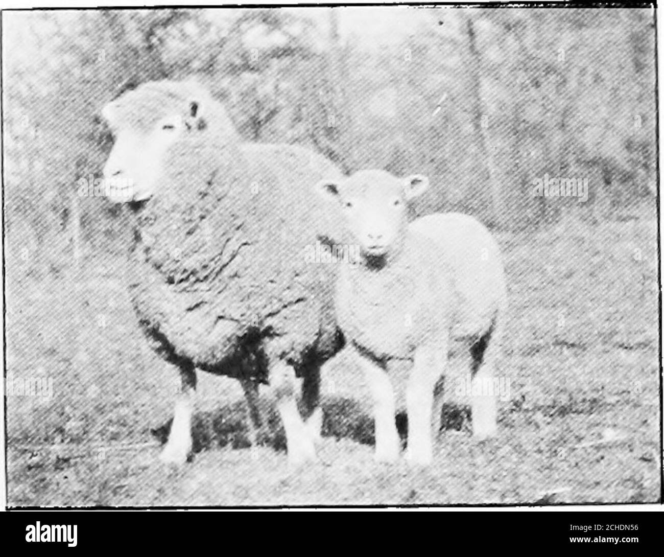 Running Nose Black And White Stock Photos Images Alamy
